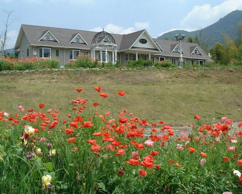Condominium Square Hills Нико Екстериор снимка